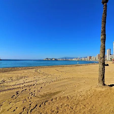 Don Miguel 1 4-b Apartment Benidorm