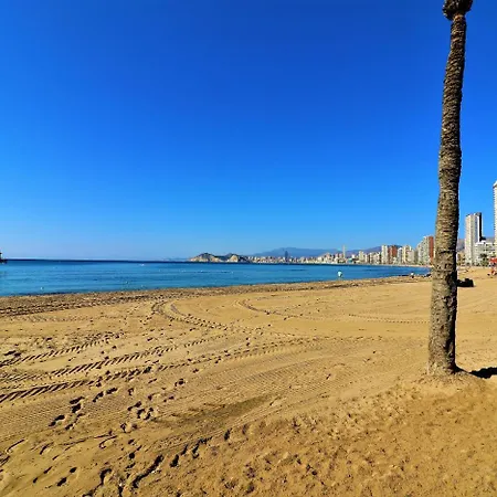Don Miguel 1 4-b Apartment Benidorm